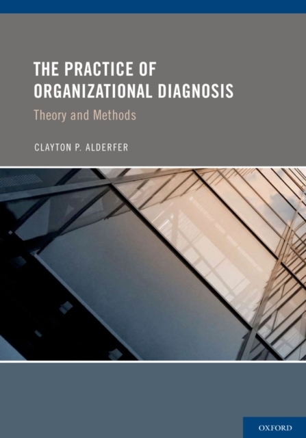 Practice of Organizational Diagnosis