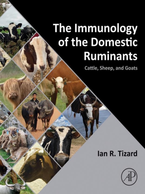 Immunology of the Domestic Ruminants