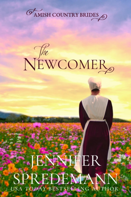 Newcomer (Amish Country Brides): The Prequel to the Amish Country Brides Series