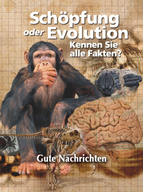 Schopfung oder Evolution: Kennen Sie alle Fakten?