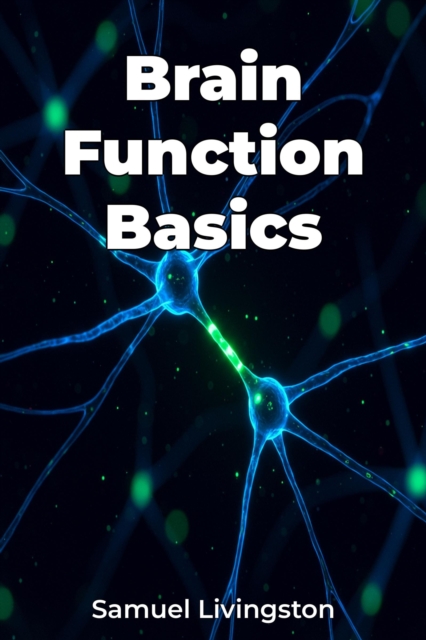 Brain Function Basics