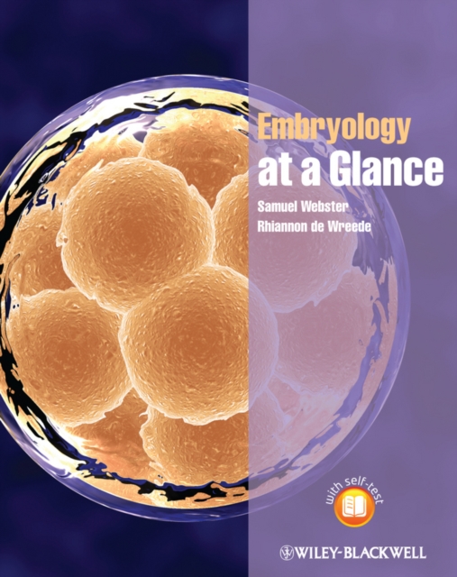 History and Clinical Examination at a Glance