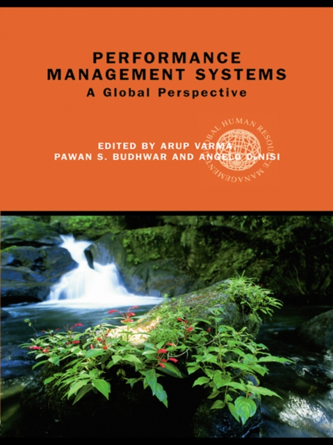 Performance Management Systems