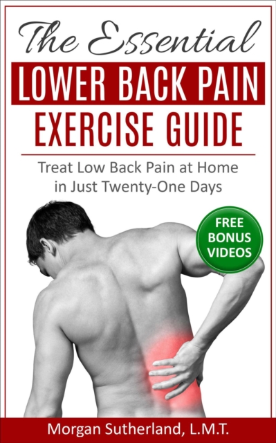 Essential Lower Back Pain Exercise Guide