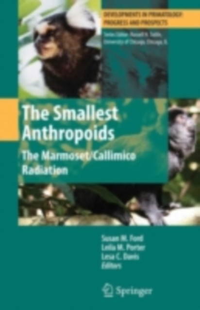 Smallest Anthropoids