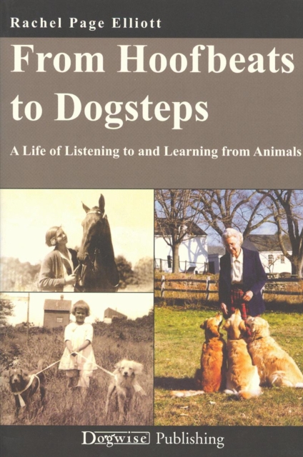 FROM HOOFBEATS TO DOGSTEPS