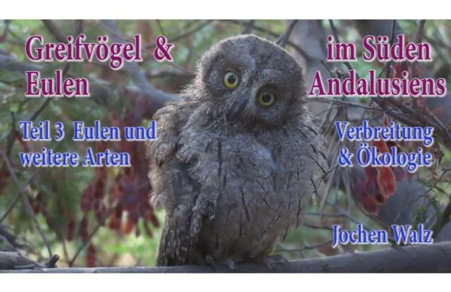 Greifvögel und Eulen im Süden Andalusiens Teil 3 Eulen und weitere Arten