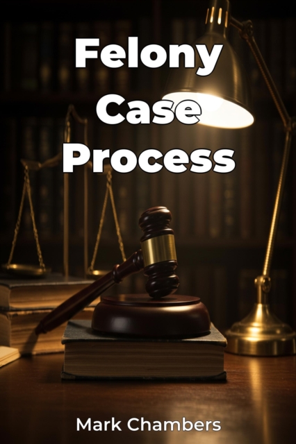 Felony Case Process