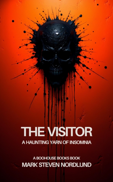 Visitor, A Haunting Yarn Of Insomnia