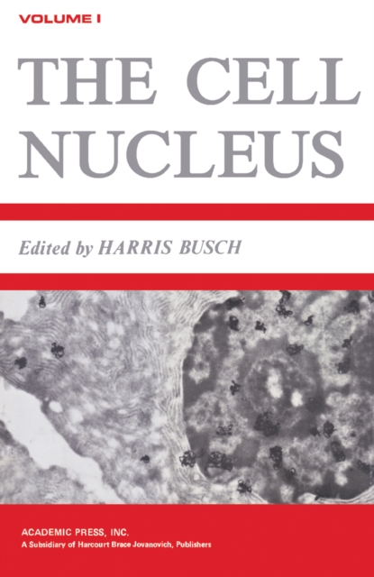 Rheology V3