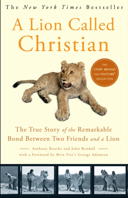 Lion Called Christian