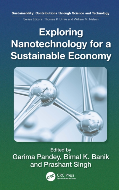Exploring Nanotechnology for a Sustainable Economy