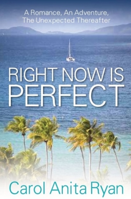 Right Now Is Perfect: A Romance, An Adventure, The Unexpected Thereafter