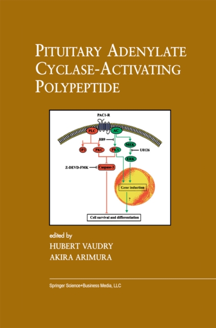 Pituitary Adenylate Cyclase-Activating Polypeptide