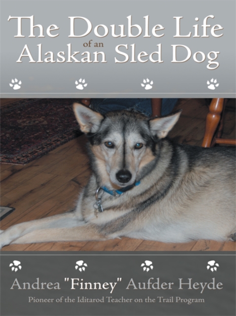 Double Life of an Alaskan Sled Dog