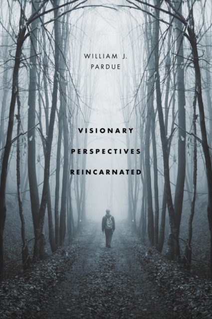 Visionary Perspectives Reincarnated