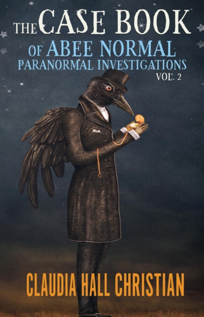 Case Book of Abee Normal, Paranormal Investigations Volume 2