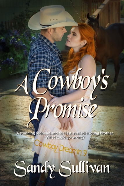 Cowboy's Promise