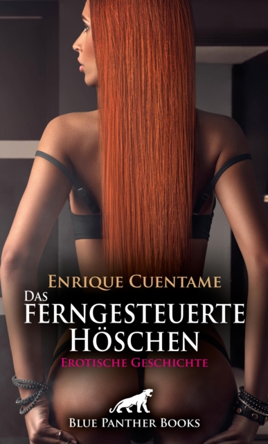 Das ferngesteuerte Höschen | Erotische Geschichte