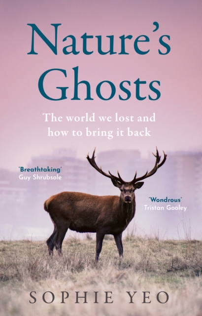 Nature's Ghosts