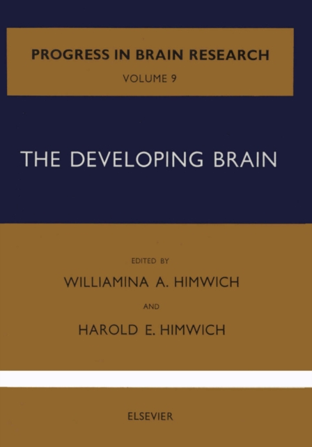 Developing Brain