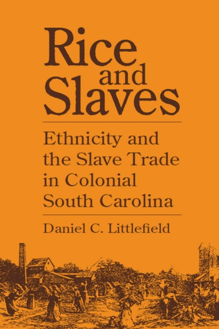 Rice and Slaves