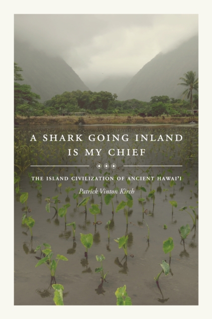 Shark Going Inland Is My Chief