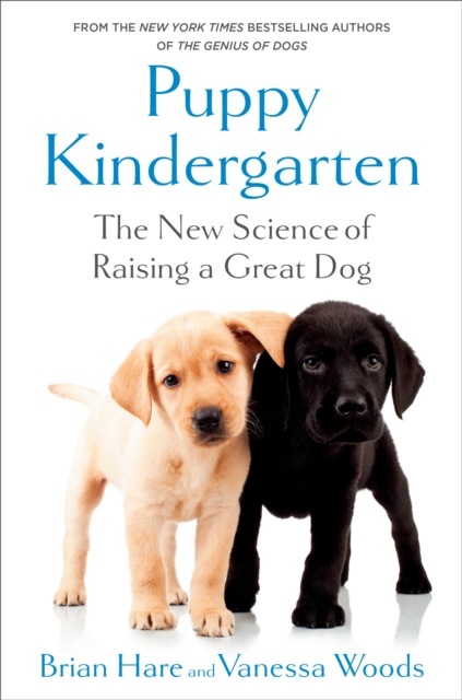 Puppy Kindergarten