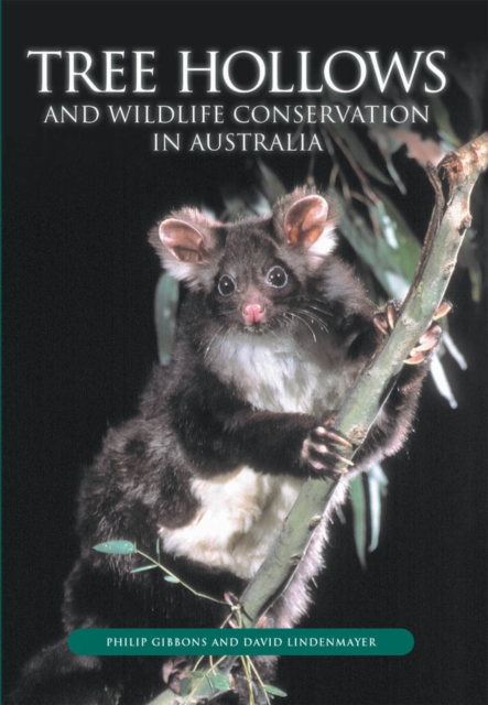 Hymenoptera: Evolution, Biodiversity and Biological Control