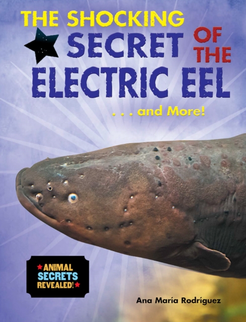 Shocking Secret of the Electric Eel...and More!