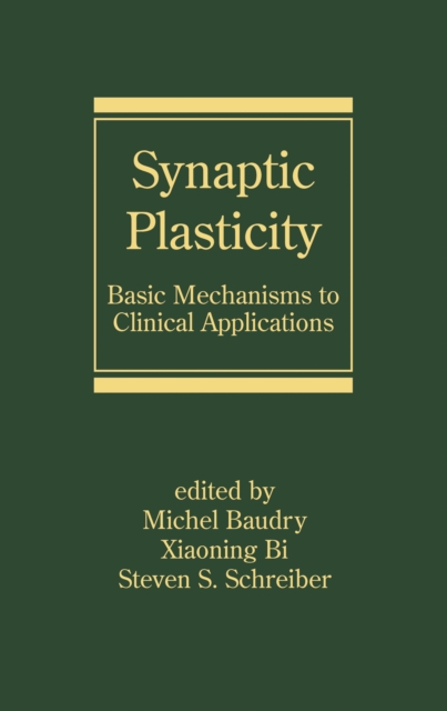 Synaptic Plasticity