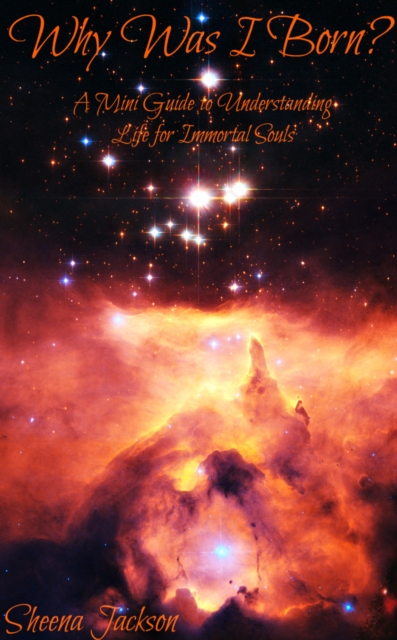 &quote;Why Was I Born?' A Mini Guide to Understanding Life for Immortal Souls (The Immortal Soul Series, Part 1)