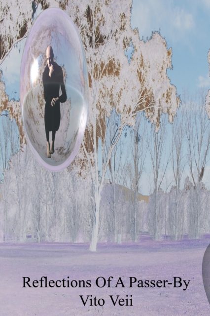 Reflections of a Passer-By