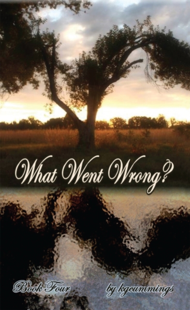 What Went Wrong?