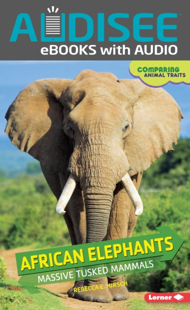 African Elephants