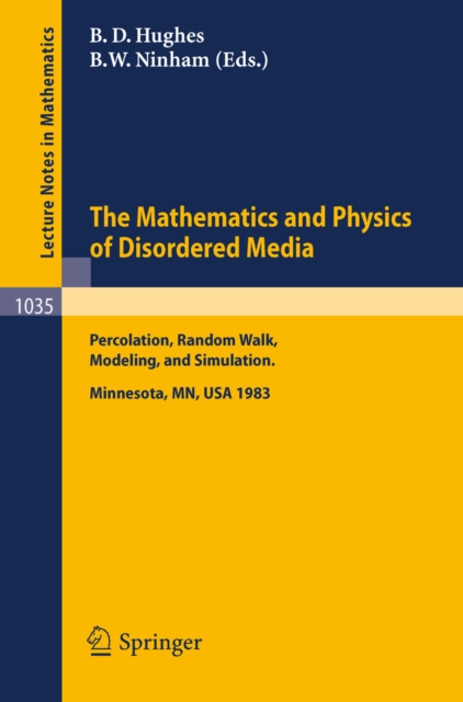 Mathematics and Physics of Disordered Media
