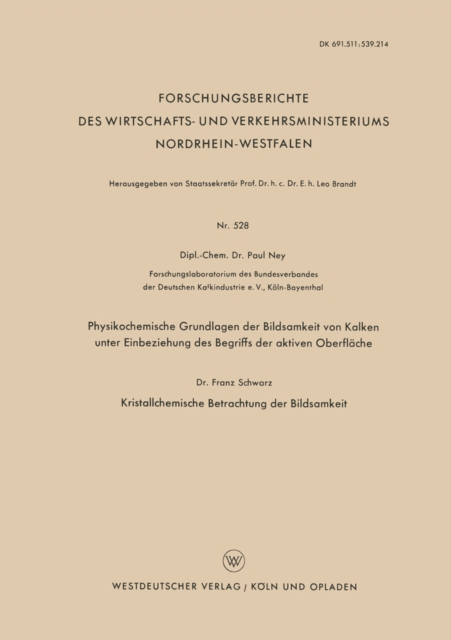 Physikochemische Grundlagen der Bildsamkeit von Kalken unter Einbeziehung des Begriffs der aktiven Oberfläche