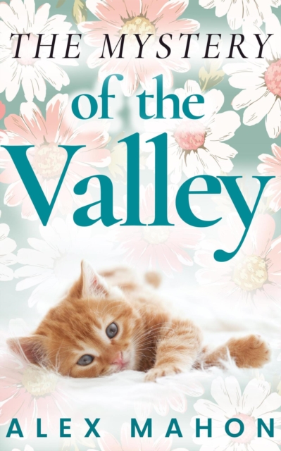 Mystery Of The Valley