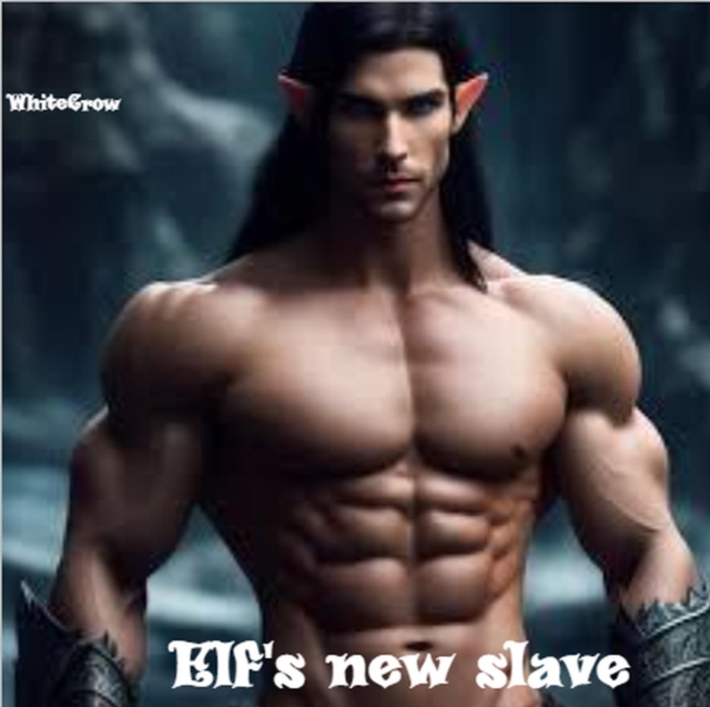 Elf's New Slave
