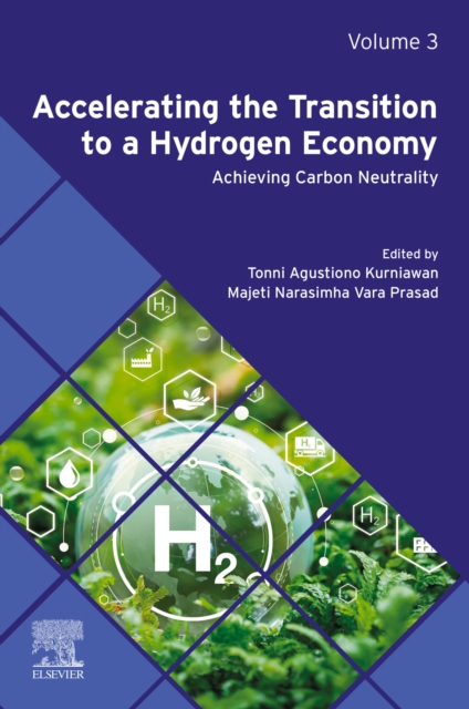 Accelerating the Transition to a Hydrogen Economy