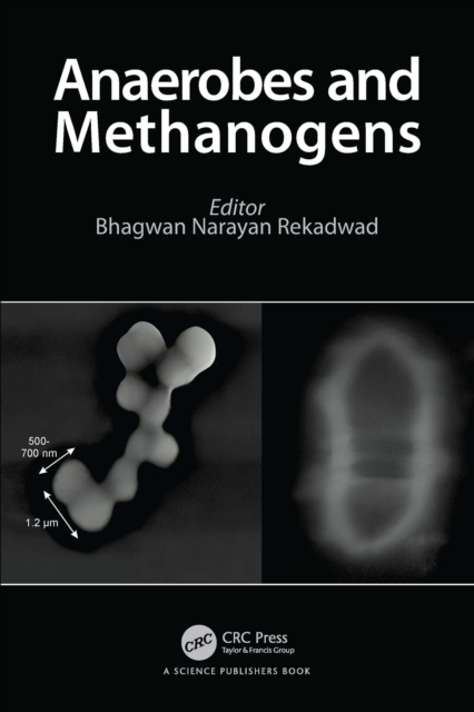 Anaerobes and Methanogens