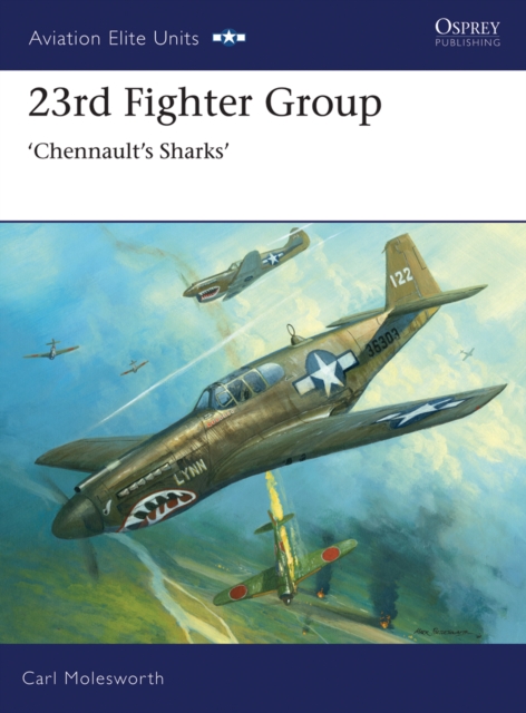Soviet Aces of World War 2