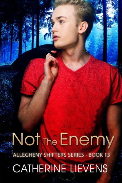 Not the Enemy