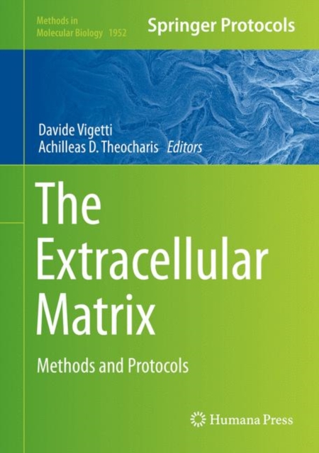 Extracellular Matrix