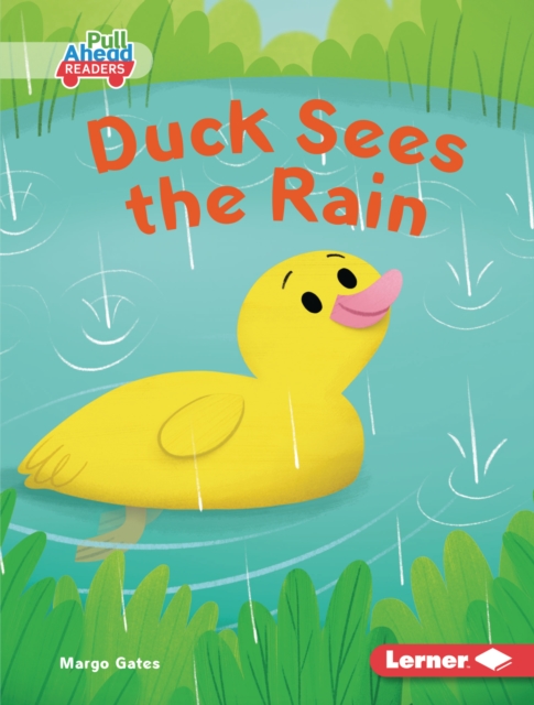Duck Sees the Rain