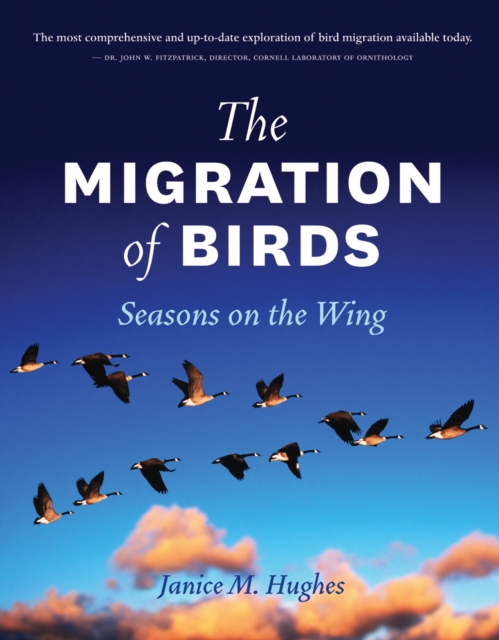 Migration of Birds