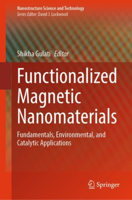 Functionalized Magnetic Nanomaterials