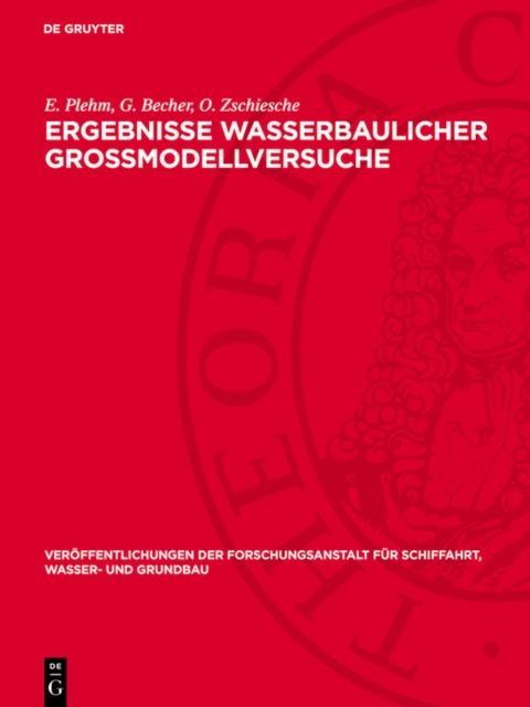 Ergebnisse wasserbaulicher Großmodellversuche