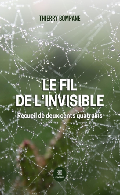 Le fil de l'invisible