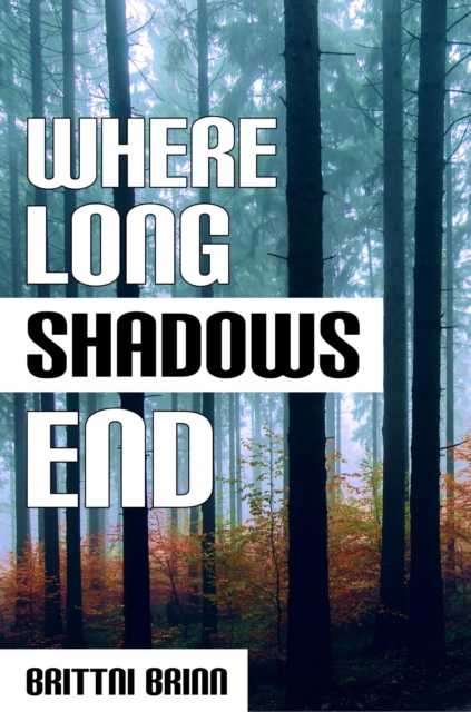 Where Long Shadows End